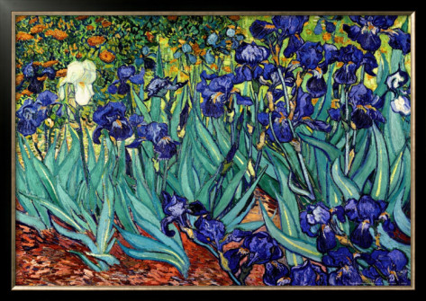 Irises, Saint - Remy - Vincent Van Gogh Paintings